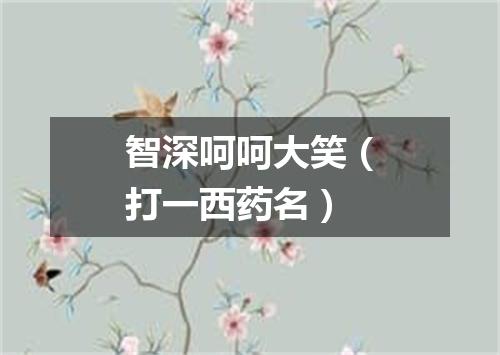 智深呵呵大笑（打一西药名）