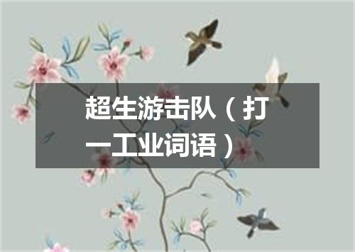 超生游击队（打一工业词语）