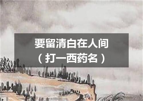 要留清白在人间（打一西药名）