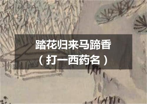 踏花归来马蹄香（打一西药名）