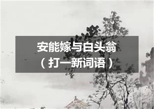 安能嫁与白头翁（打一新词语）