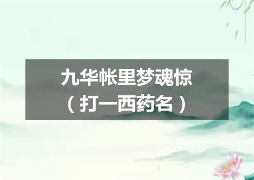 九华帐里梦魂惊（打一西药名）