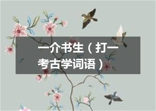 一介书生（打一考古学词语）