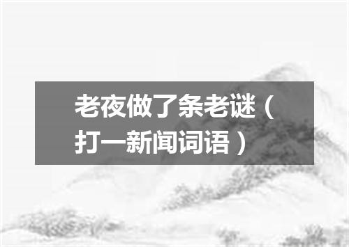 老夜做了条老谜（打一新闻词语）