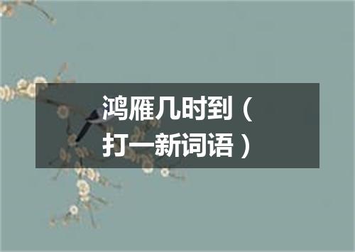 鸿雁几时到（打一新词语）