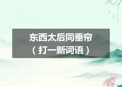 东西太后同垂帘（打一新词语）