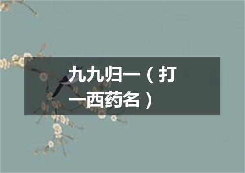 九九归一（打一西药名）