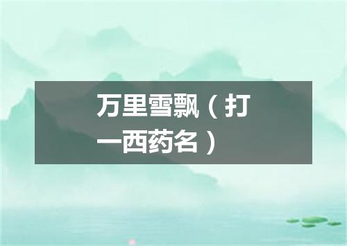 万里雪飘（打一西药名）