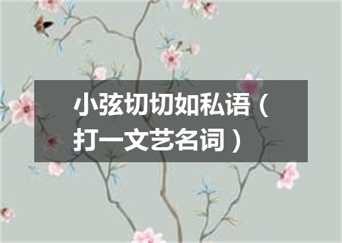 小弦切切如私语（打一文艺名词）