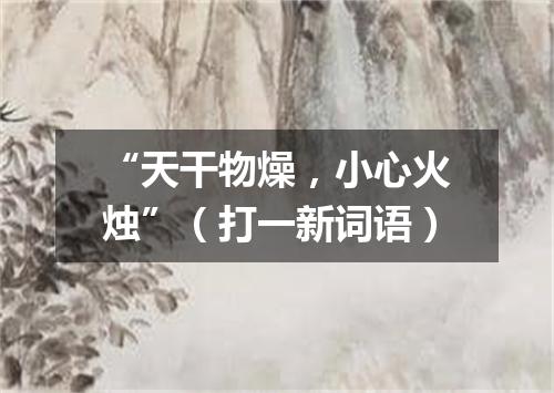 “天干物燥，小心火烛”（打一新词语）