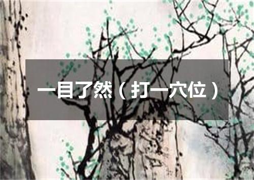 一目了然（打一穴位）