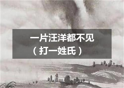 一片汪洋都不见（打一姓氏）
