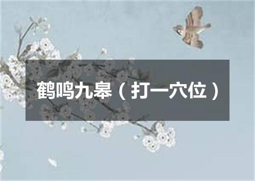 鹤鸣九皋（打一穴位）