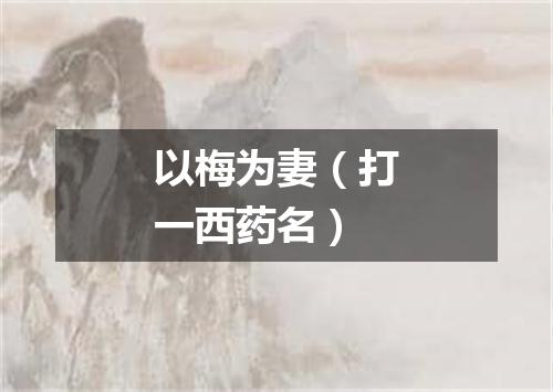 以梅为妻（打一西药名）