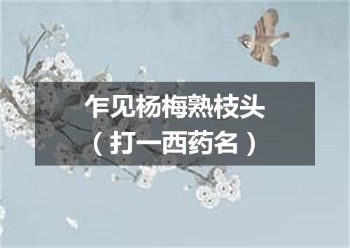 乍见杨梅熟枝头（打一西药名）