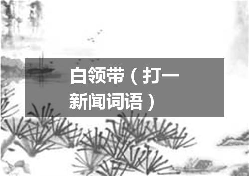 白领带（打一新闻词语）