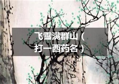 飞雪满群山（打一西药名）