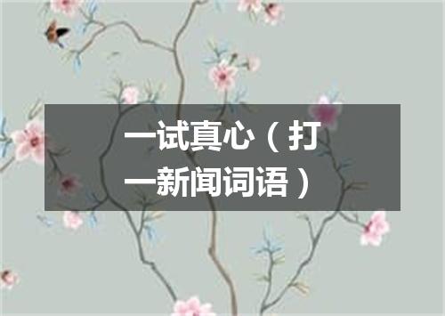 一试真心（打一新闻词语）