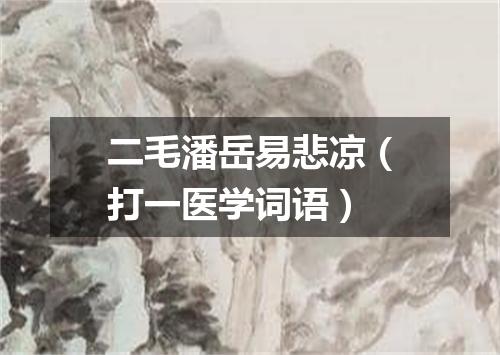 二毛潘岳易悲凉（打一医学词语）