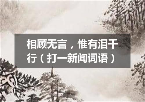 相顾无言，惟有泪千行（打一新闻词语）