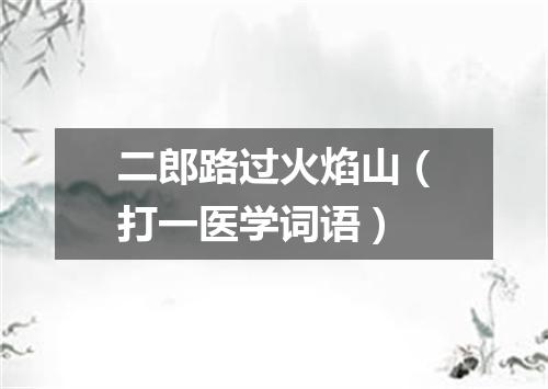 二郎路过火焰山（打一医学词语）