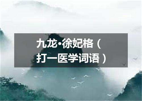 九龙·徐妃格（打一医学词语）