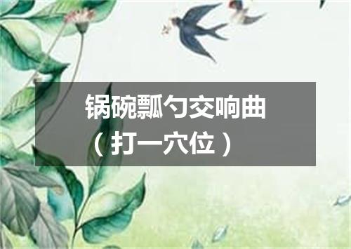 锅碗瓢勺交响曲（打一穴位）
