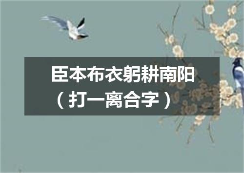 臣本布衣躬耕南阳（打一离合字）
