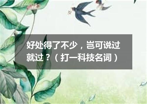 好处得了不少，岂可说过就过？（打一科技名词）