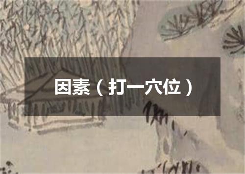 因素（打一穴位）
