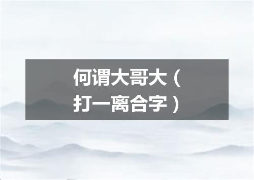 何谓大哥大（打一离合字）