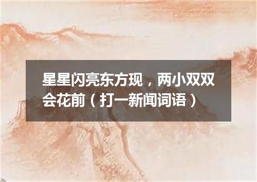 星星闪亮东方现，两小双双会花前（打一新闻词语）