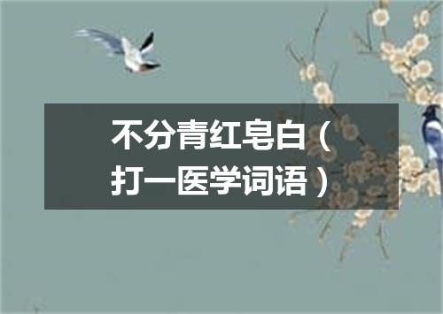 不分青红皂白（打一医学词语）