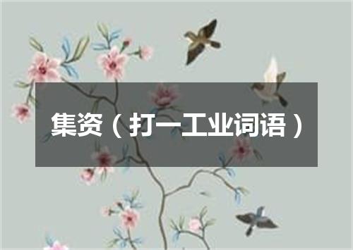 集资（打一工业词语）