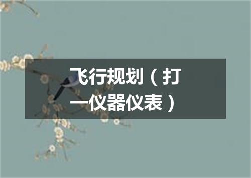 飞行规划（打一仪器仪表）