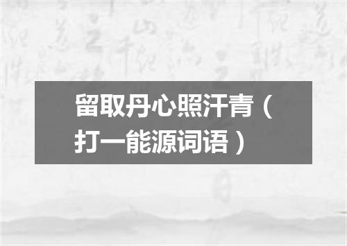 留取丹心照汗青（打一能源词语）
