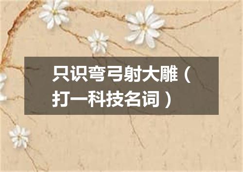 只识弯弓射大雕（打一科技名词）