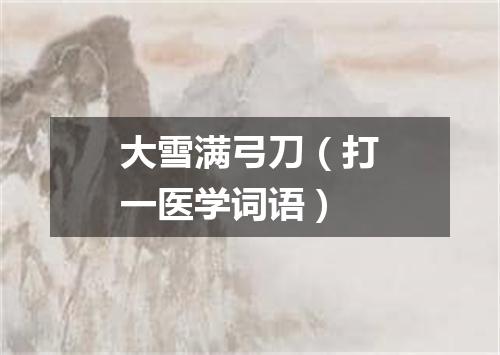 大雪满弓刀（打一医学词语）