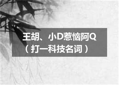 王胡、小D惹恼阿Q（打一科技名词）
