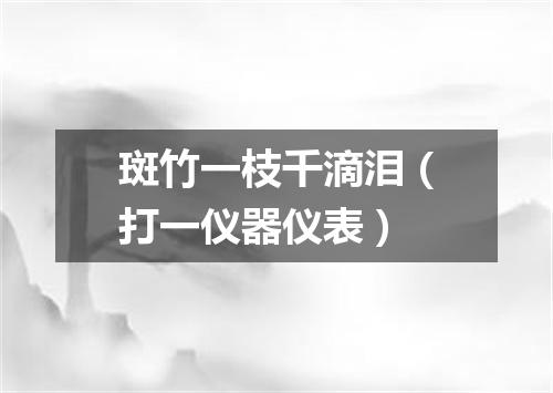 斑竹一枝千滴泪（打一仪器仪表）
