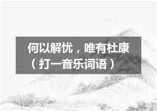 何以解忧，唯有杜康（打一音乐词语）