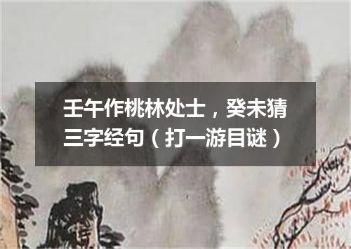 壬午作桃林处士，癸未猜三字经句（打一游目谜）