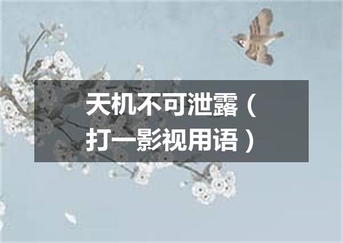 天机不可泄露（打一影视用语）