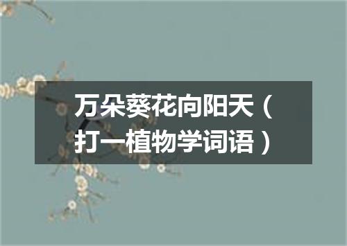 万朵葵花向阳天（打一植物学词语）