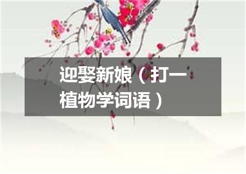 迎娶新娘（打一植物学词语）