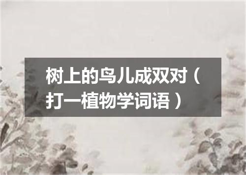 树上的鸟儿成双对（打一植物学词语）