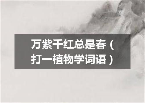 万紫千红总是春（打一植物学词语）