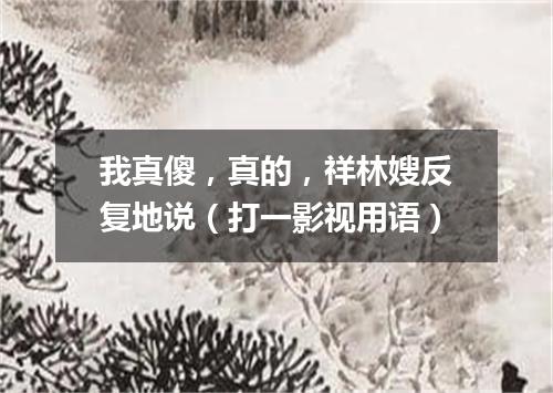 我真傻，真的，祥林嫂反复地说（打一影视用语）
