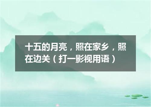 十五的月亮，照在家乡，照在边关（打一影视用语）