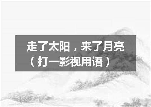 走了太阳，来了月亮（打一影视用语）